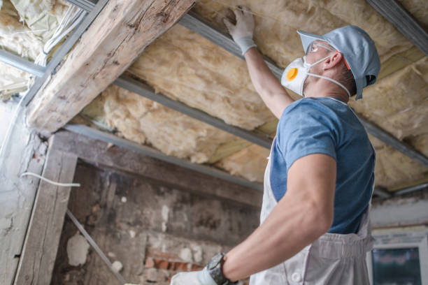 Best Residential Insulation in Coral Gables, FL