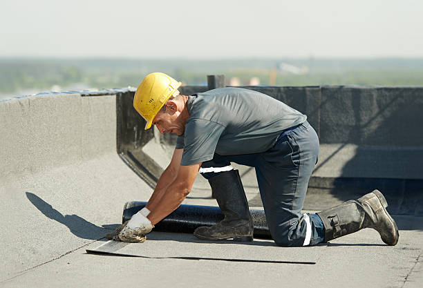 Best Fiberglass Insulation in Coral Gables, FL