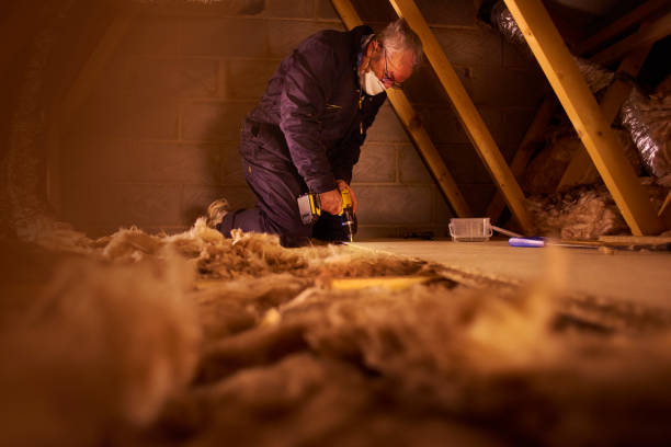 Best Eco-Friendly Insulation in Coral Gables, FL